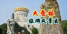 插菊花色色a级片电影网中国浙江-绍兴大香林旅游风景区